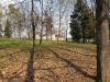 20190427_133254.thumb.jpg.78a2bbcd20b3b6d0eaaed3147b9153d4.jpg
