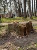 20190427_164127.thumb.jpg.35ad05fa98a92e2a3cb445b1207c0636.jpg