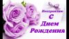 24601117.thumb.jpg.a6c9592eddaf59762edce3992cea45a1.jpg