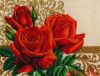 39582.thumb.jpg.1c76653dd2db490237a5a612e78b74fa.jpg