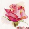 41109.thumb.jpg.4352a3f6ff5dea23c23eceeff09b2eee.jpg