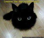 Аватар Тэрру