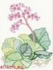Риолис (Сотвори Сама) 988, Бадан