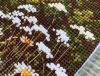 76DDCC4E-015A-4002-903F-0AA92D207390.jpeg