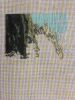 7B6F4BE3-5FFD-491A-AB6C-77B746C94E21.thumb.jpeg.56f23eeda3d456c1ad9464b6de0d770d.jpeg