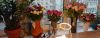 84212801_DSC_0529.thumb.jpg.46ea4b741f69f90cfbb33fc6eae04dc2.jpg