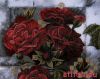 9799.thumb.jpg.25ef5f560d60b6203e19caa15578d7d4.jpg