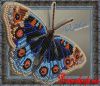 Вдохновение BGP-012, Бабочка Анютины Глазки