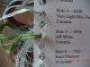 DSC03724.thumb.JPG.2ee3ec31774d009a65d530f8f0aaec13.JPG