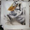 DSC08554.thumb.JPG.c0d62622eecdf79c1d9973dedd2940ab.JPG