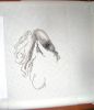 DSC08557.thumb.JPG.5422295bd4a2e6514b214f99f45ab3cc.JPG
