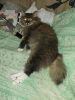 DSCF2793.thumb.JPG.a05b1768ef1254c95d793fa06ebe3b5d.JPG