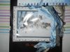 DSCN1750.JPG