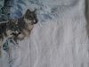 DSCN1770.JPG