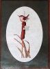 Country Cross-Stitch, High Perch ll