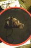 DSC_0982.thumb.JPG.759b27f5640996d2375c7fcb35f9bfcf.JPG