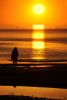 DSC_2994.thumb.JPG.45b9f651a62d59f1a5a8db8e7a6e26c7.JPG