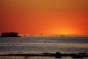 DSC_3061.thumb.JPG.1d560b88bbb312ac674a83145a25bb6d.JPG