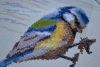 DSC_3430.thumb.JPG.a483992751236c0b79808a4f302cdeeb.JPG