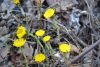 DSC_7778.thumb.JPG.3a4509984605e21aa734b4f3ce8811c1.JPG