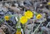 DSC_7779.thumb.JPG.0894f6d82bd6904f7f7405258c073cd4.JPG