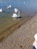 IMG-20190319-WA0000.thumb.jpg.2b872812b5ac5ccd2a0ed50de8e3d988.jpg