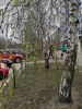 IMG_20190412_122132.thumb.jpg.0bc17fa57eb0f9335878be59f378e8ab.jpg