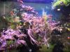IMG_20190413_184523.thumb.jpg.194aabcce4e4cc069cf0f418e79cf478.jpg
