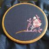 IMG_20190414_102125.thumb.jpg.0c90d04732c199bed502f7b438dbb9a2.jpg