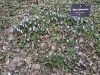 IMG_20190414_133659.thumb.jpg.b3a160b40652a8764a9265c269140bd9.jpg