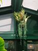 IMG_20190414_142559.thumb.jpg.f4fbe3b1845e388075d5760f5c21e6a2.jpg