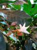 IMG_20190414_142711.thumb.jpg.87f742e6f648e4da79d419617de880ac.jpg