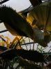IMG_20190414_142725.thumb.jpg.cbe19aad1d3b43abe03e14a3791e3c30.jpg