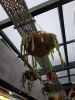 IMG_20190414_144105.thumb.jpg.cc86603adceaada75c0448685ea6584f.jpg