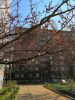 IMG_20190421_111755.thumb.jpg.dafbfacb54b513afc216fc0dfe5d070d.jpg