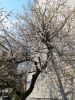 IMG_20190422_132648.thumb.jpg.9a5209be48e4ac82ca366f4a023a13af.jpg