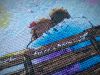 IMG_20190428_180004.thumb.jpg.41d7a54ca7804b26f8161d6dbd2bbd02.jpg