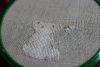 IMG_3682.thumb.JPG.739ed3c4cbf78f9e4b28fa3f9206bf25.JPG