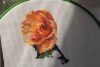 IMG_7310.thumb.JPG.272718b408f2e091fd1b98fb2c36a347.JPG