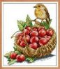 Joy-Sunday-DA132-14CT-11CT-Counted-and-Stamped-Home-Decor-Bird-And-Cherries-Needlework-Needlepoint-Cross.jpg_220x220.thumb.jpg.626b9a4c11c05606c429b97238cfa2c9.jpg