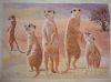 Meerkats14.thumb.JPG.cdcd6da4d091abd67b497c98eaf48974.JPG