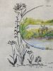P1240172-1.thumb.jpg.4533540be3cfd9da203fa8c7167e5ddb.jpg