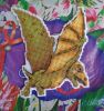 Pterodaktyl7.thumb.JPG.294dcf1aa3847a8185a5e566df1630d9.JPG