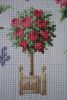 Ros08.thumb.JPG.ca74f22e5dbf6aa97b0a65805ec1b283.JPG