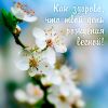 birthday-588.thumb.jpg.d8610e914eadc1725daf07d02dbed7bb.jpg