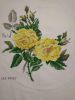 eXGcTAffOCo.thumb.jpg.d33cf886620422da5bc6b9c537d2c873.jpg