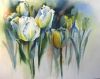 072a3388521615297c6ff9b5c4769afe--watercolour-flowers-art-watercolor.thumb.jpg.7ca6694e8f55fdce1edca058ed17086d.jpg