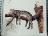 10.thumb.jpg.186c0b22b6a5fe2a28deccae613a2348.jpg