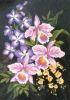 Dimensions 3748, Elegant Orchids
