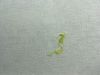 12BAD14F-CF47-4139-9354-097D6FE6B8BA.thumb.jpeg.fc6e6c4b3bf98f18d88567f93a384ec9.jpeg